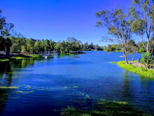 The image shows a serene lake surrounded by trees, with a clear blue sky and small boats in the water. A peaceful, natural setting.