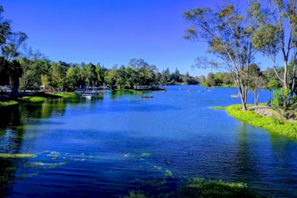 The image shows a serene lake surrounded by trees, with a clear blue sky and small boats in the water. A peaceful, natural setting.