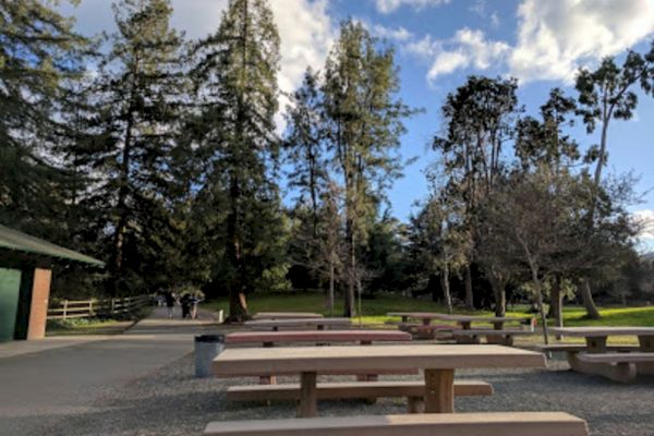 The image shows a park with several wooden picnic tables, tall trees, a paved pathway, and a green lawn area under a partly cloudy sky.