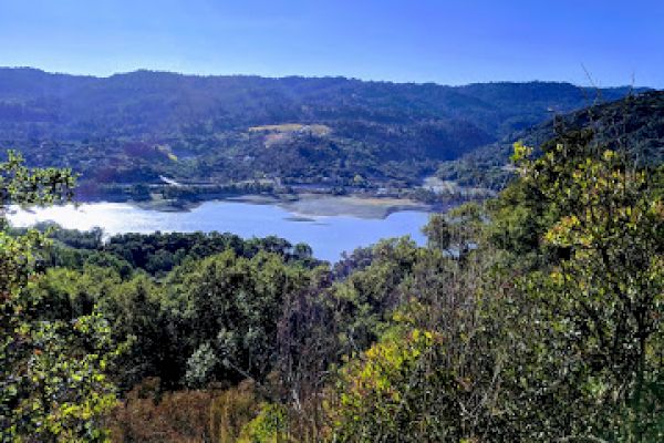 A scenic view of a lake surrounded by lush greenery and hills under a clear blue sky, with trees and bushes in the foreground.