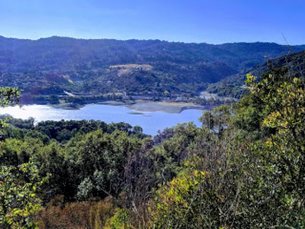 A scenic view of a lake surrounded by lush greenery and hills under a clear blue sky, with trees and bushes in the foreground.