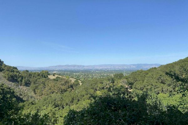 A scenic landscape with a clear blue sky, distant mountains, and a lush, green valley filled with trees and foliage can be seen.