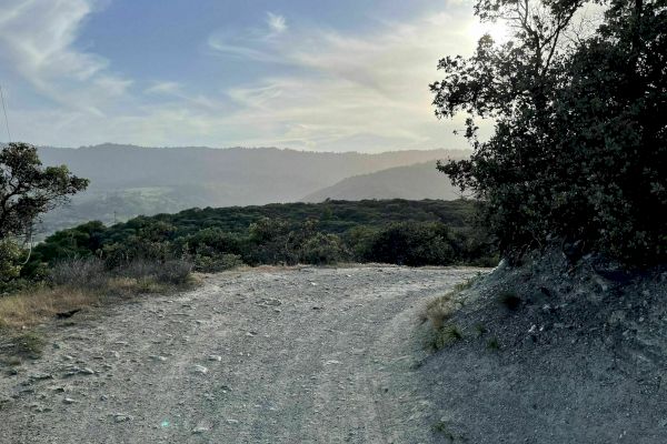 A dirt trail winds through a hilly landscape with sparse greenery, trees on the sides, and distant mountains under a partly cloudy sky, at sunset.