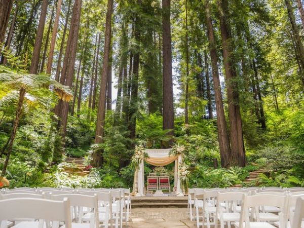 An outdoor wedding venue set in a forest, featuring rows of white chairs facing an altar decorated with fabrics and flowers amidst tall trees.