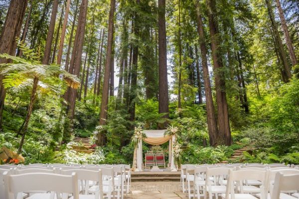 An outdoor wedding venue set in a forest, featuring rows of white chairs facing an altar decorated with fabrics and flowers amidst tall trees.