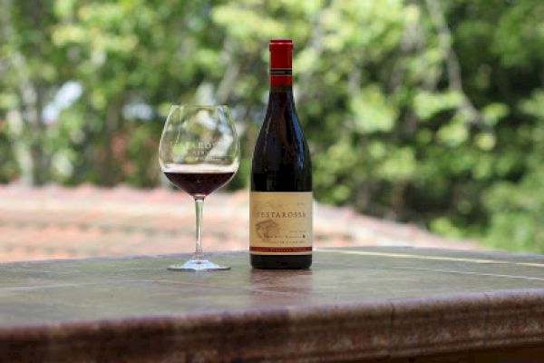 A bottle of wine and a filled wine glass are placed on a table outdoors, with green foliage in the background.