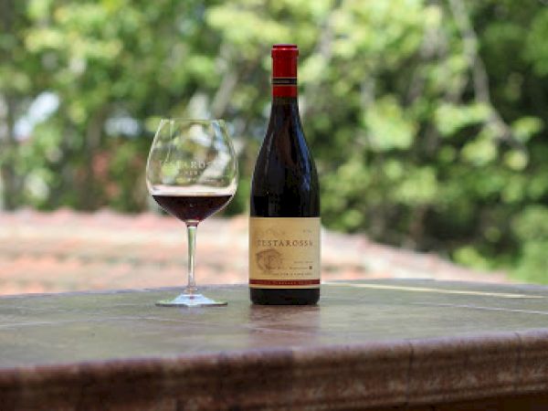 A bottle of wine and a filled wine glass are placed on a table outdoors, with green foliage in the background.