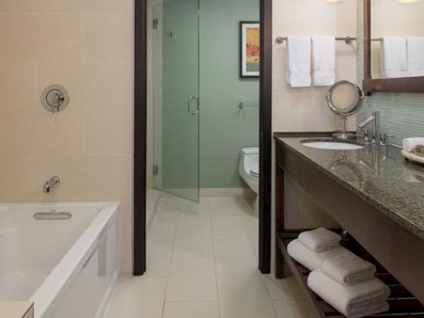 A modern bathroom with a bathtub, double sink with granite countertop, and a separate area for a toilet and shower enclosed by a glass door.