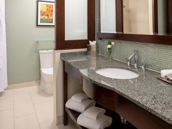 The image shows a modern bathroom featuring a granite countertop, a sink, neatly folded towels, and a toilet in the background ending the sentence.