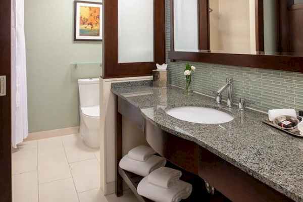 A modern bathroom with a granite countertop, under-mount sink, toiletries, towels, mirror, wall art, toilet, shower curtain, and a tissue box.