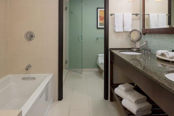 The image shows a modern bathroom with a bathtub, a glass-enclosed shower, two sinks on a dark countertop, and neatly arranged towels on shelves.