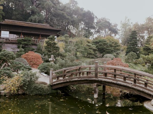 A wooden bridge crosses a pond surrounded by lush greenery, leading to a traditional building in a serene garden setting.