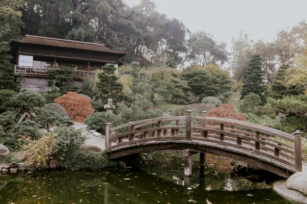 A wooden bridge crosses a pond surrounded by lush greenery, leading to a traditional building in a serene garden setting.