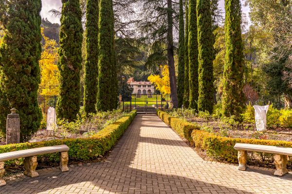 A neatly landscaped garden with a pathway lined with tall trees and hedges, leading to a large estate in the background, and two benches.