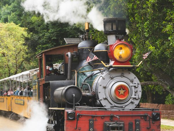 A steam locomotive with a red and black engine is pulling passenger cars through a lush, green area, emitting steam and smoke as it moves.
