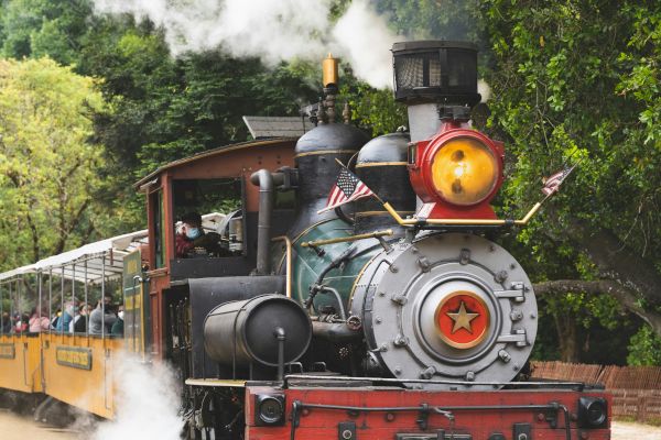 A steam locomotive with a red and black engine is pulling passenger cars through a lush, green area, emitting steam and smoke as it moves.