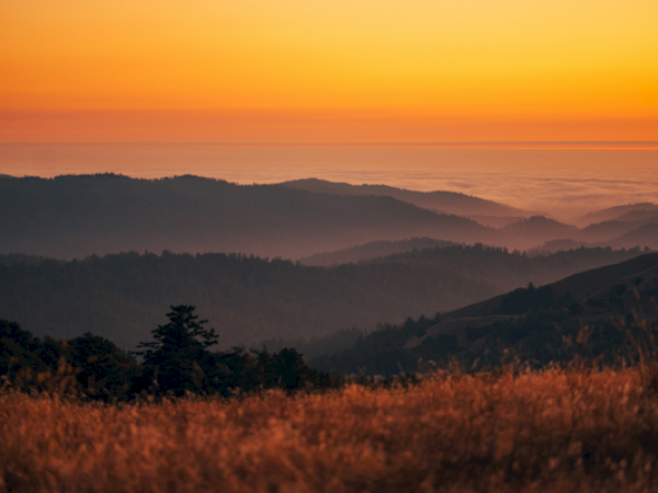 A serene sunset over layered mountains with an orange sky and grassy foreground, creating a tranquil, scenic view.